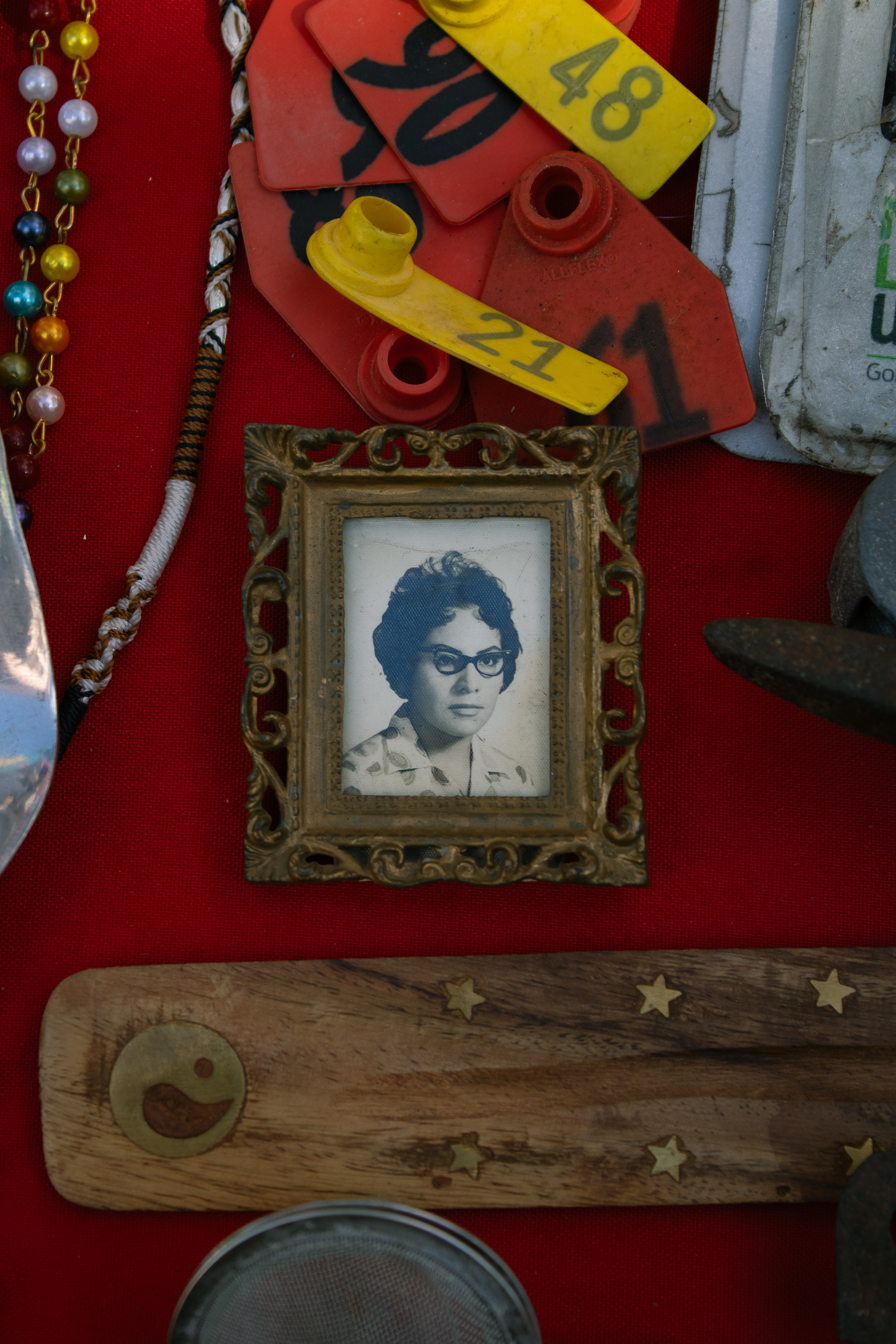 Obra de Karol García
