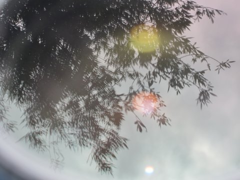 Reflejos Reflejos Reflejos